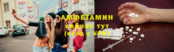 сатива Дмитров