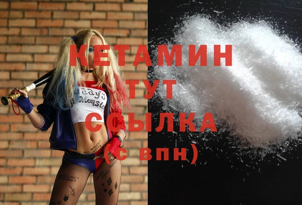 амф Ельня