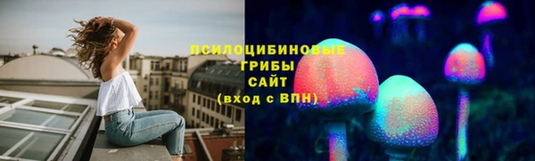 сатива Дмитров