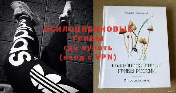 сатива Дмитров