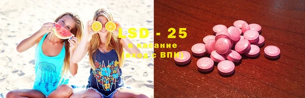 амф Ельня