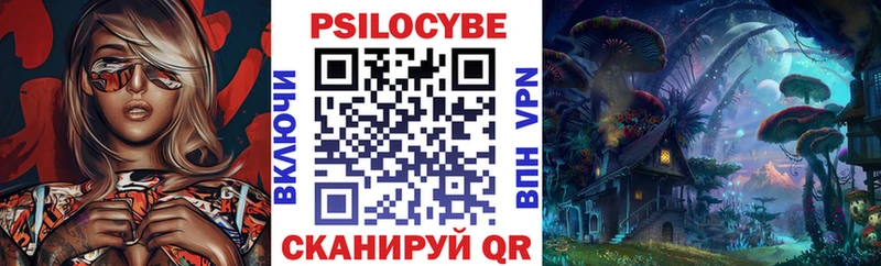 Галлюциногенные грибы Psilocybe  Купить закладки  Кизляр 